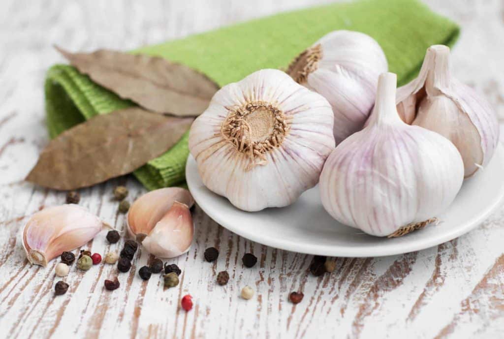 Health benefits of Garlic and it's uses