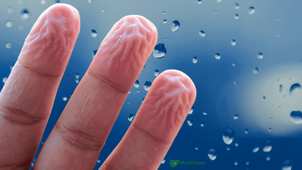 Why do our fingers get wrinkly in the water?